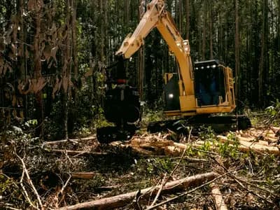 Land Clearing Services Orlando in Orlando